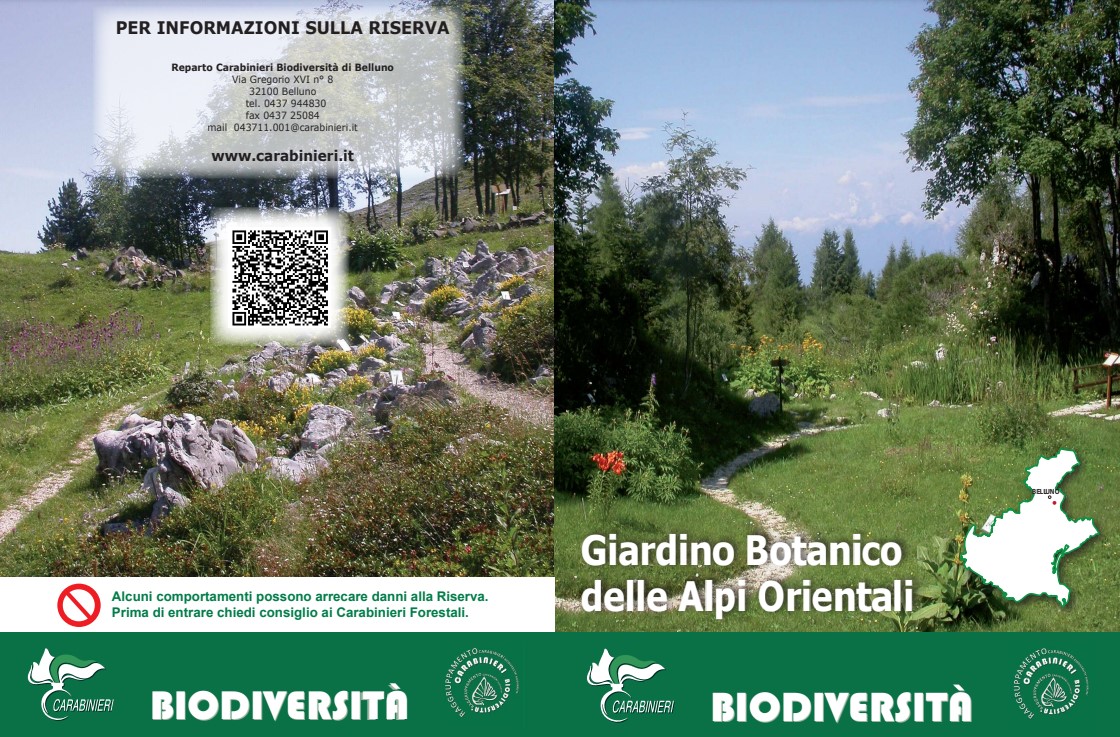 Allegato giardino botanico alpi orientali carabinieri forestali biodiversità.jpg