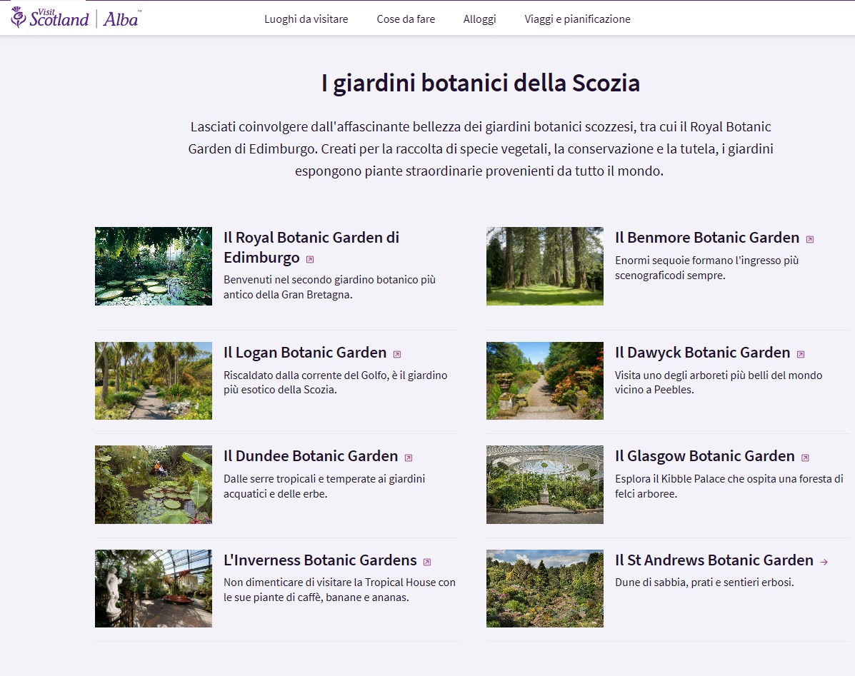 Allegato Immagine WhatsApp 2025-03-26 ore 18.49.50_18d5e3ec.jpg