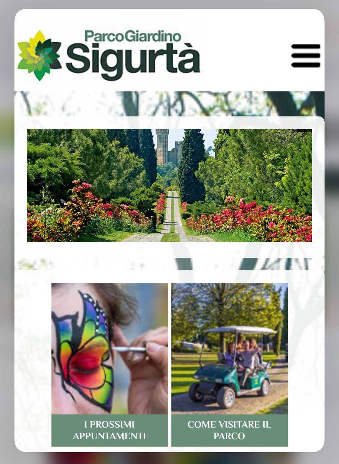 Allegato cdv_photo_1754828809_20250810142649.jpg