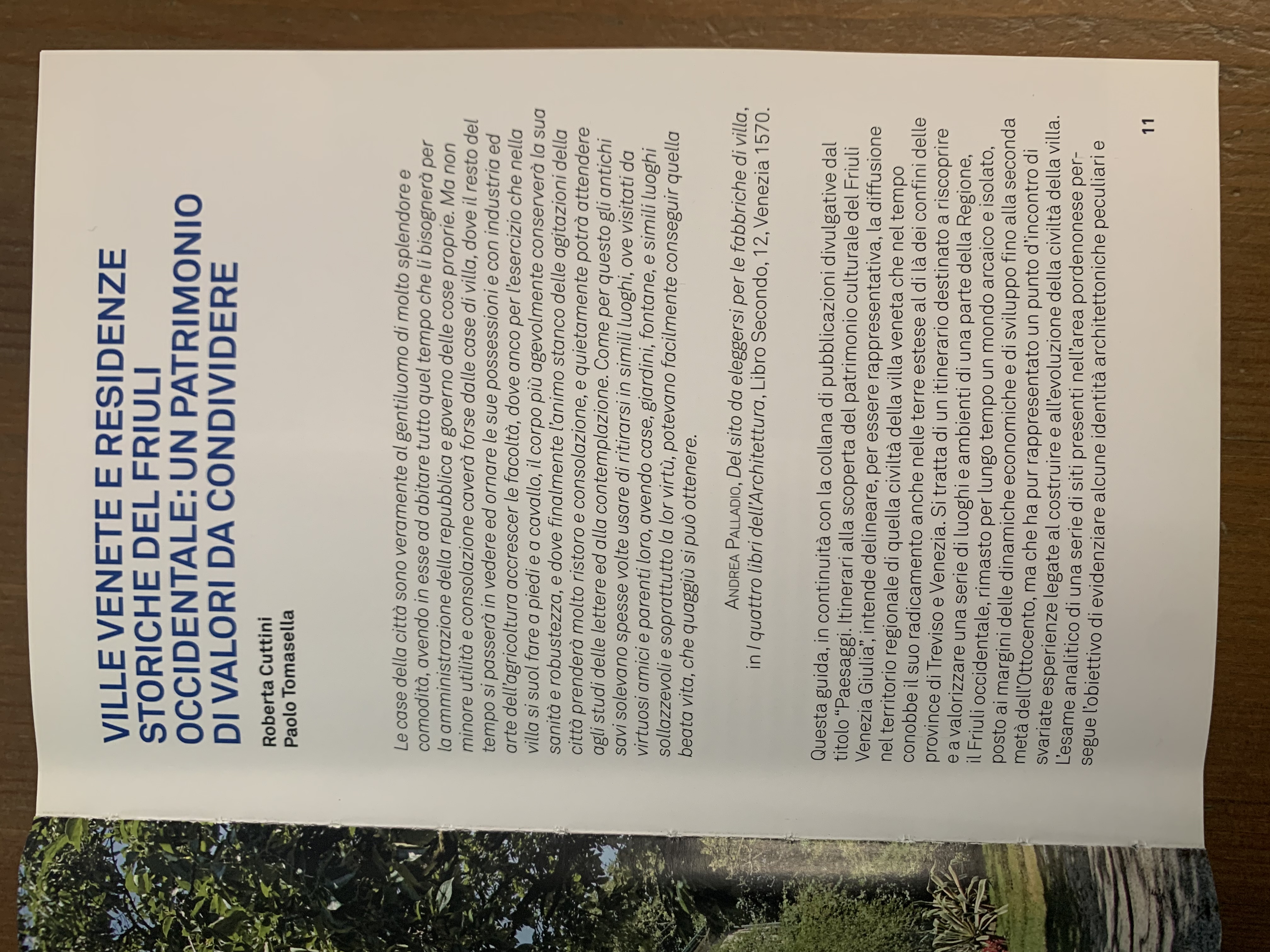 Allegato IMG_1745.jpeg