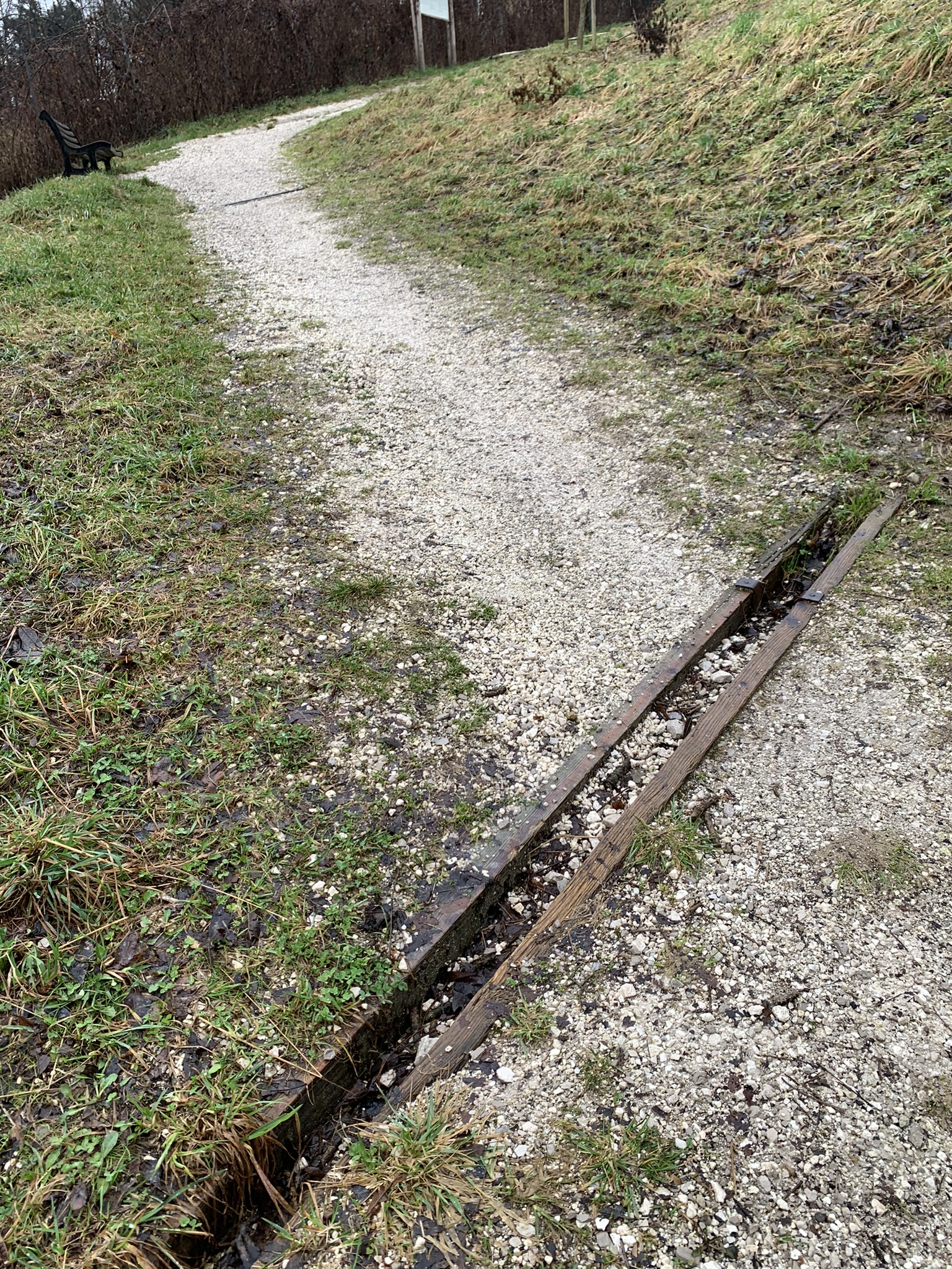 Parco di Villa Clizia a Mussoi - Immagini sopralluogo 01