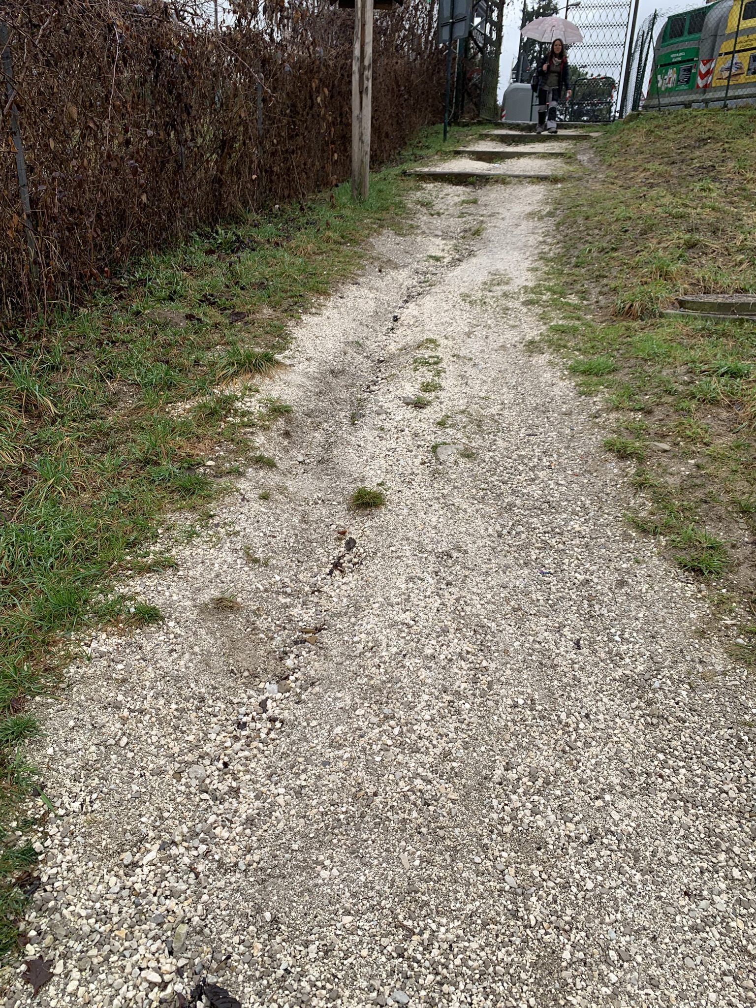 Parco di Villa Clizia a Mussoi - Immagini sopralluogo 01