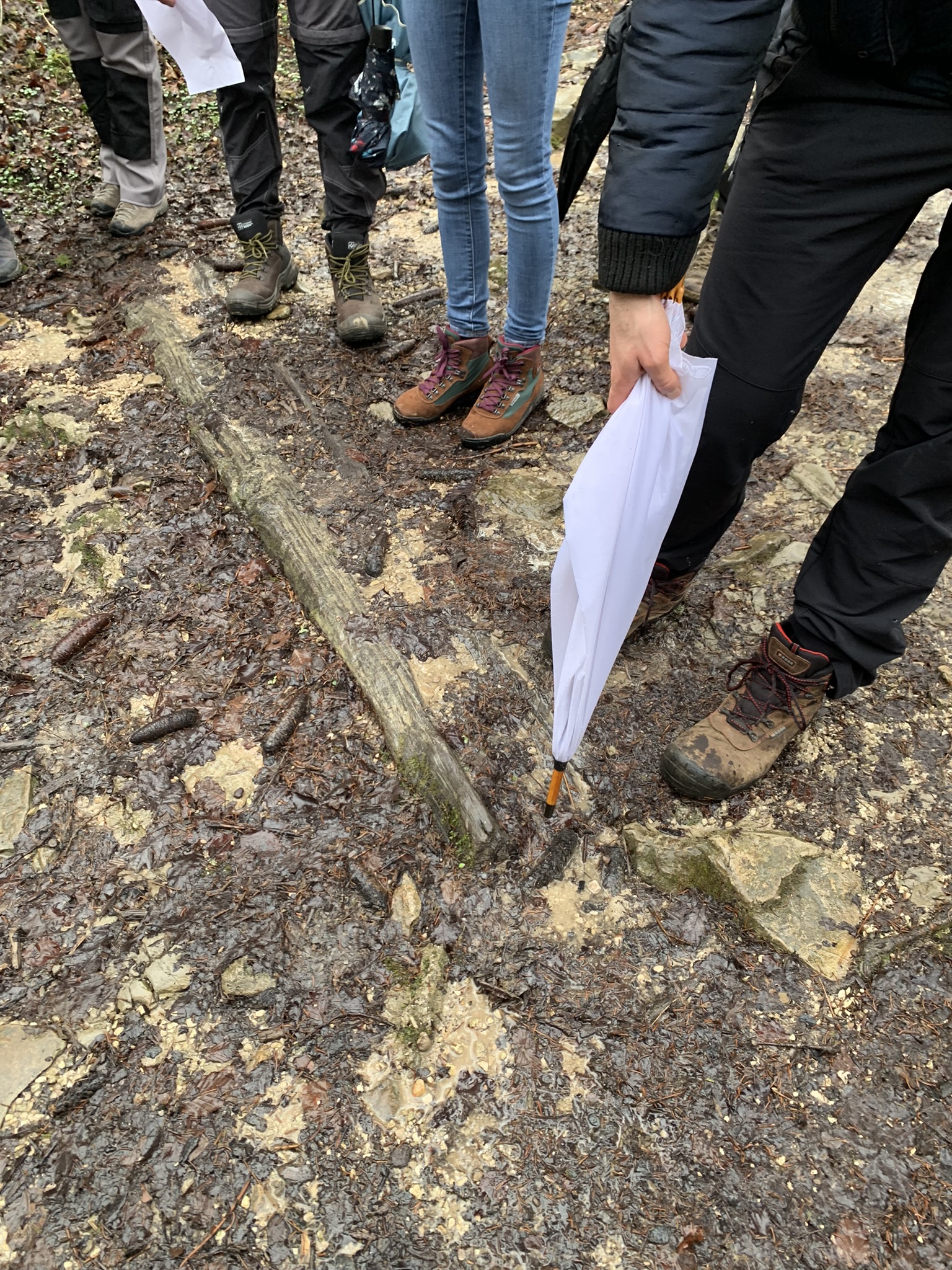 Parco di Villa Clizia a Mussoi - Immagini sopralluogo 04
