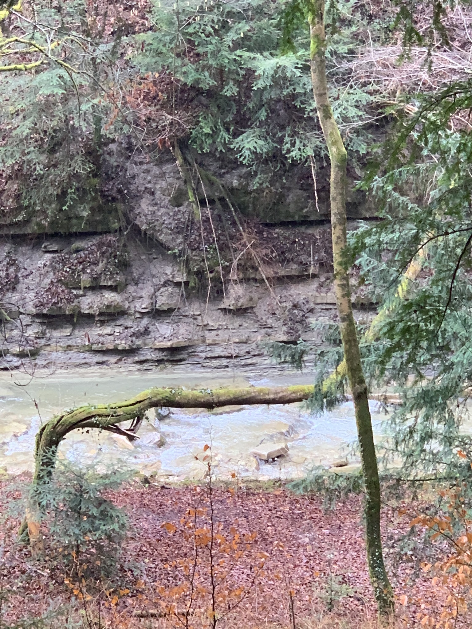 Parco di Villa Clizia a Mussoi - Immagini sopralluogo 05