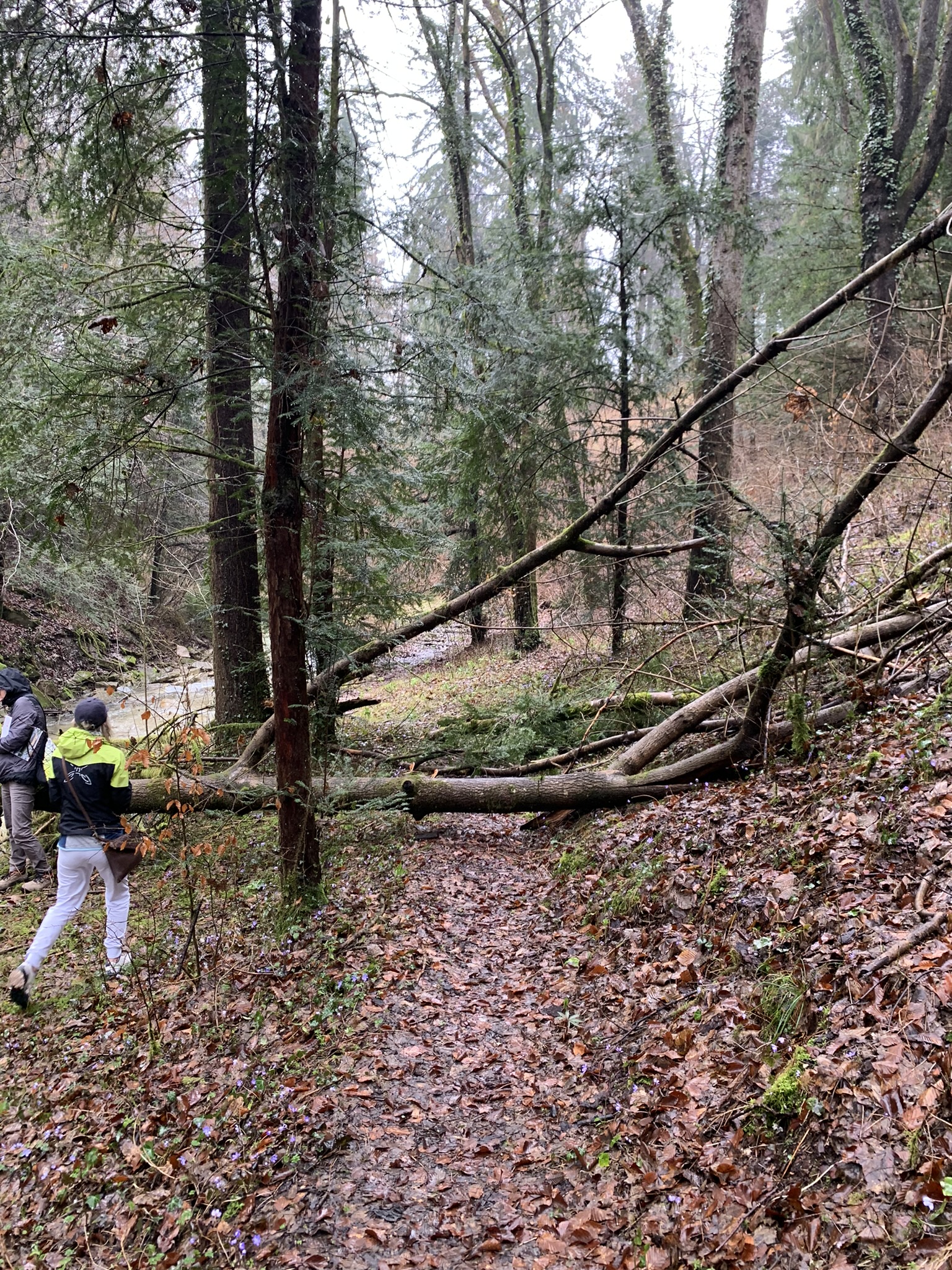 Parco di Villa Clizia a Mussoi - Immagini sopralluogo 07