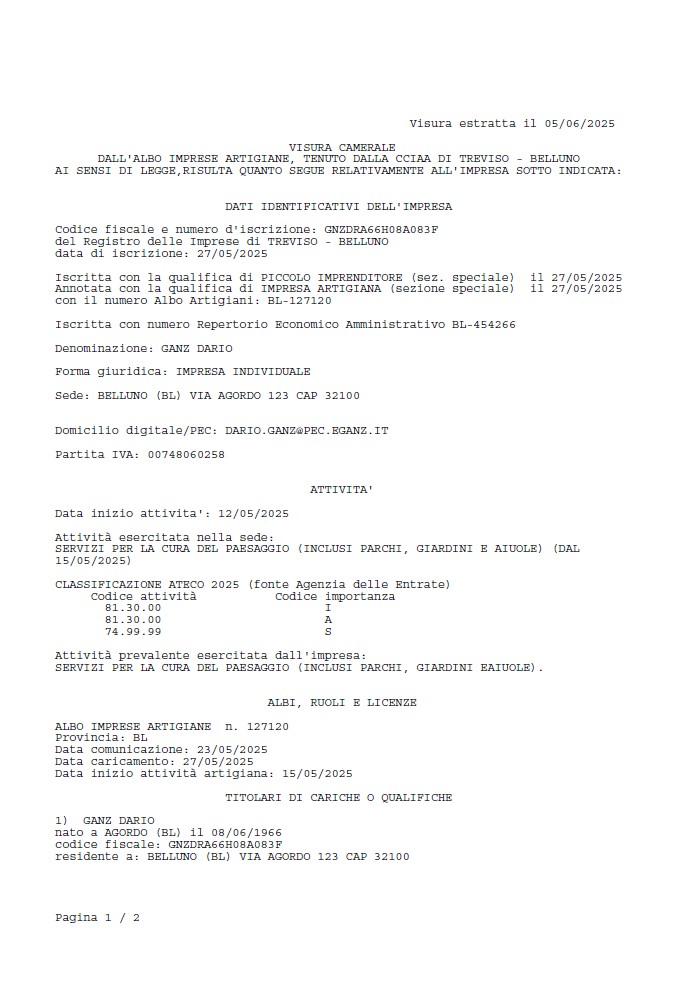 Dario Ganz visura camerale fronte