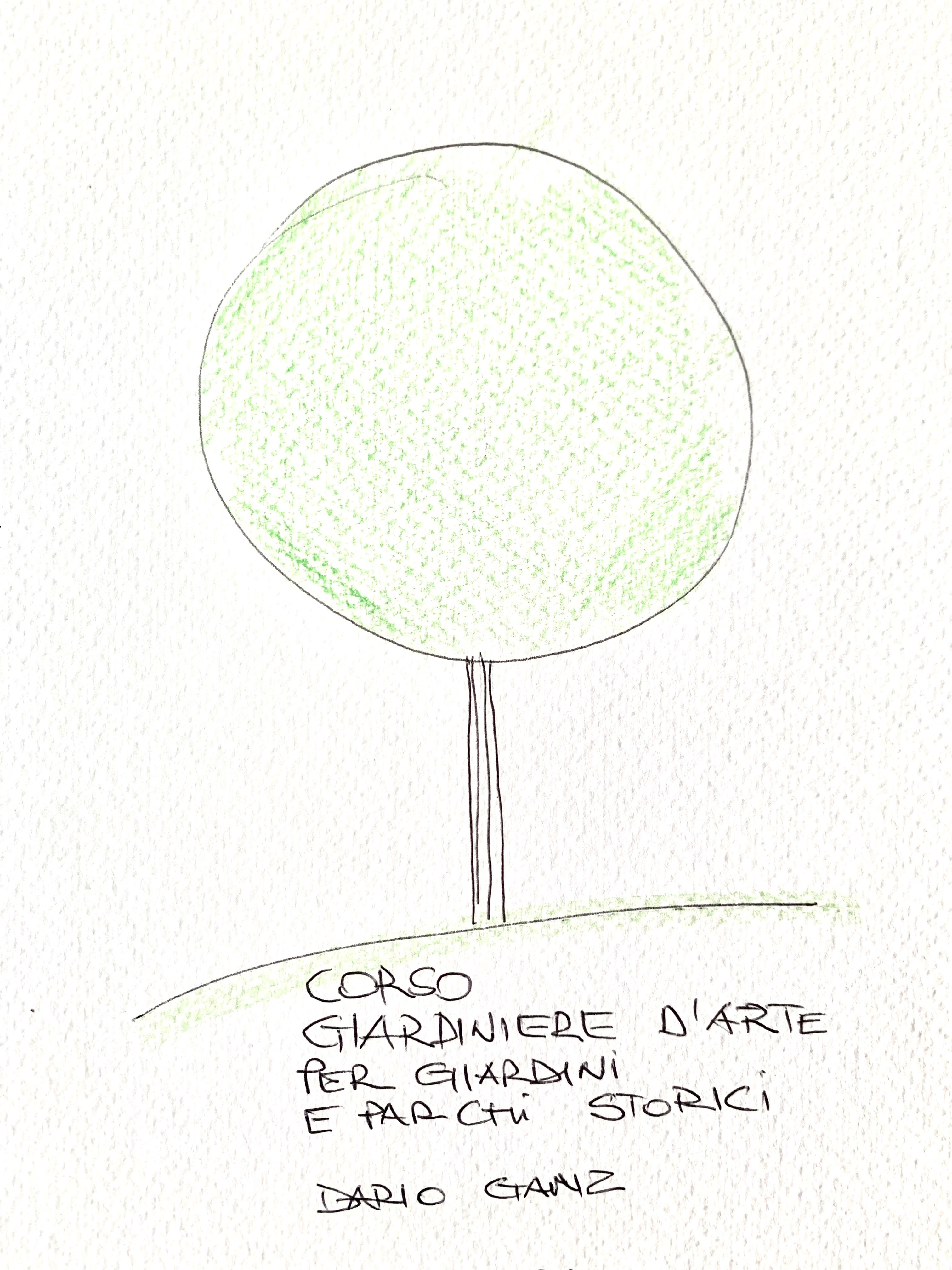 Ligustro ispiratore del logo